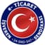 E-TİS