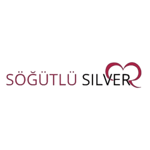 Söğütlü Silver logo