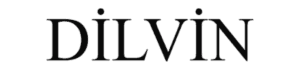 Dilvin logo