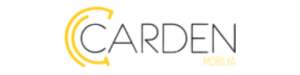 Cardin Concept logo