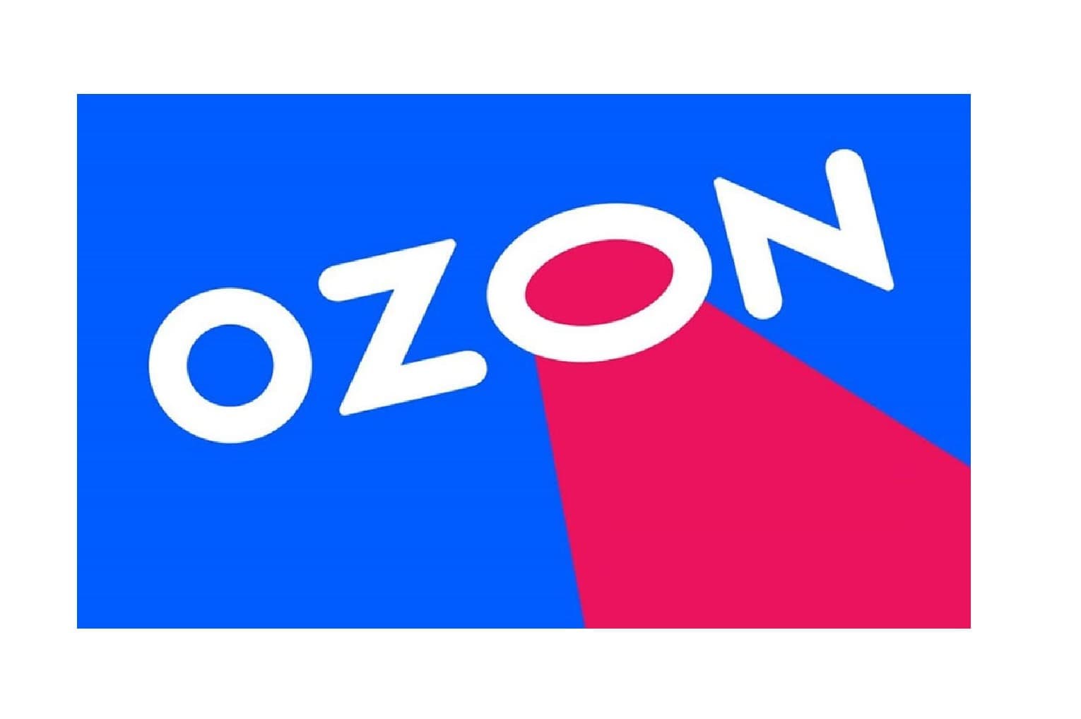 Ozon Reports Over 500% Revenue Growth in 2024