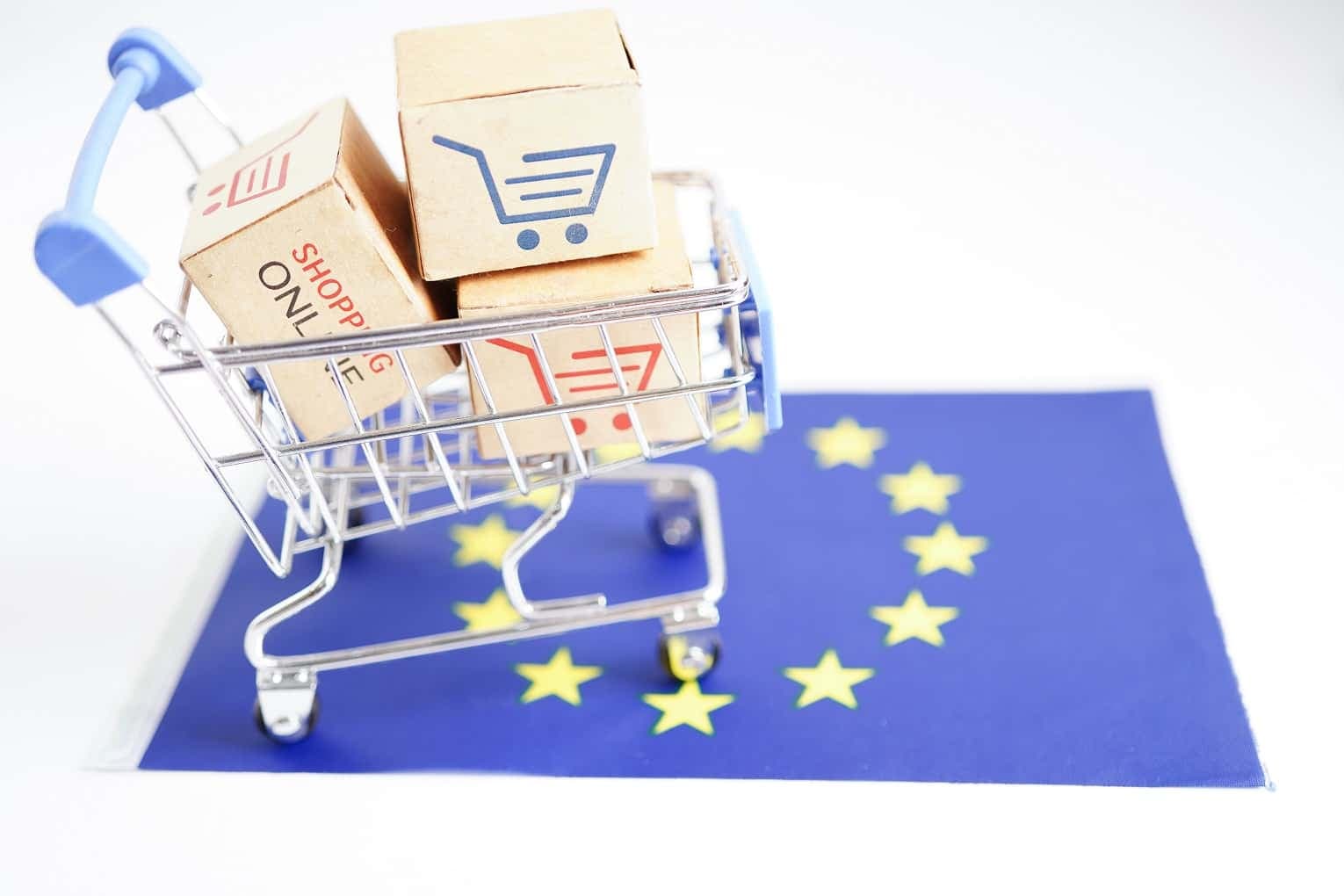 Problems of Global E-commerce Discussed in the European Union
