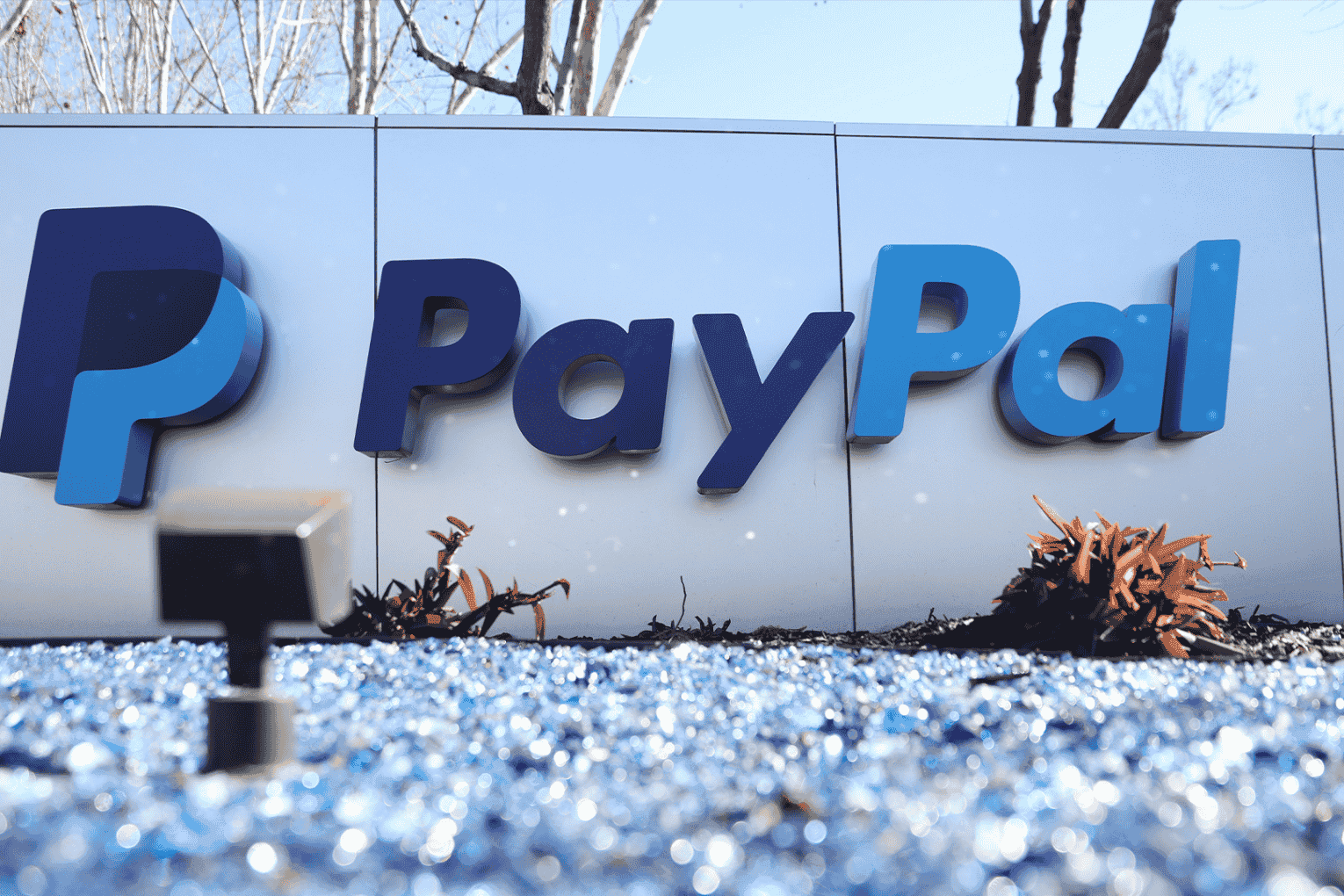 PayPal Commits $100M to MEA Digital Growth