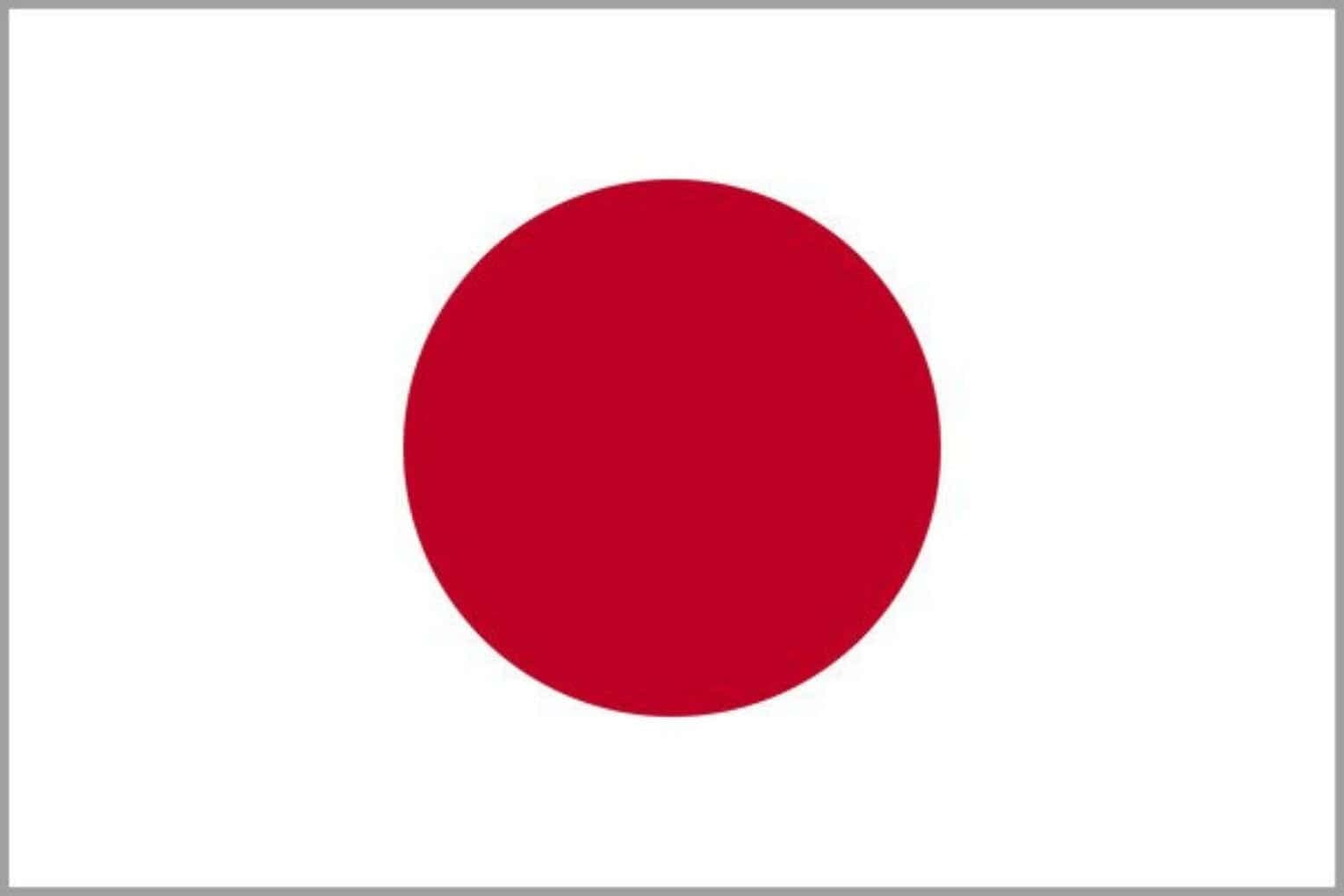 Japan to End Tax Breaks for Small Imports from E-Commerce Platforms