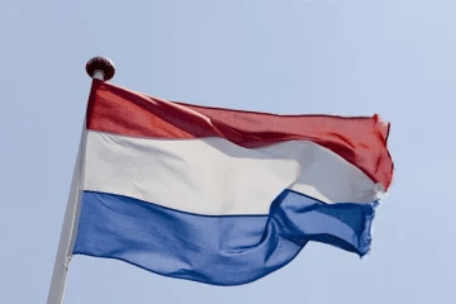 Number of Online Stores in the Netherlands Sees Renewed Growth
