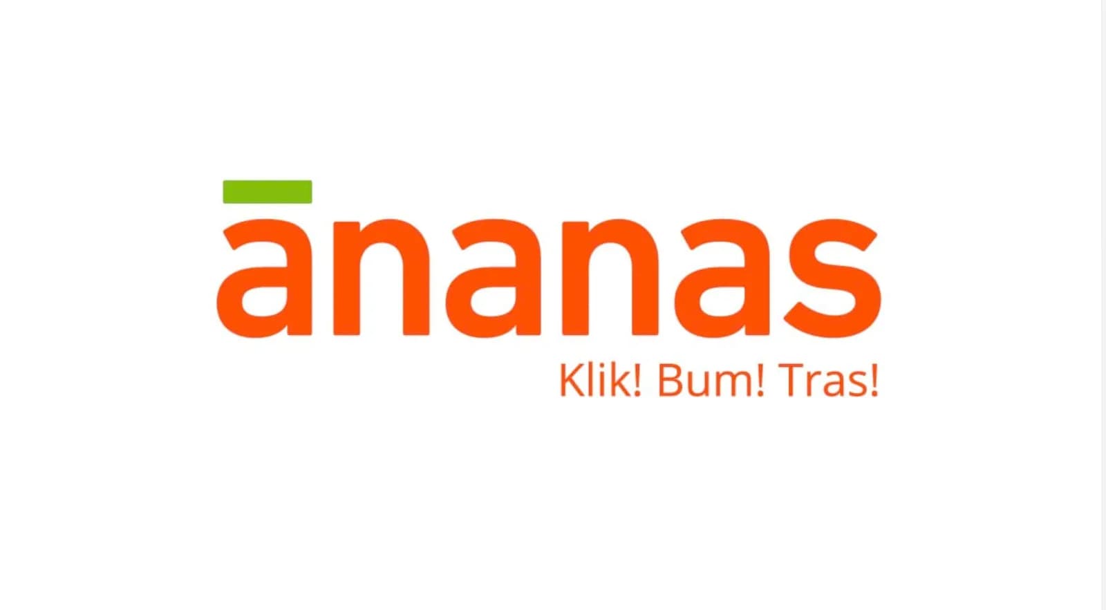 The Fastest-growing E-commerce Platform in the Balkans: Ananas.rs