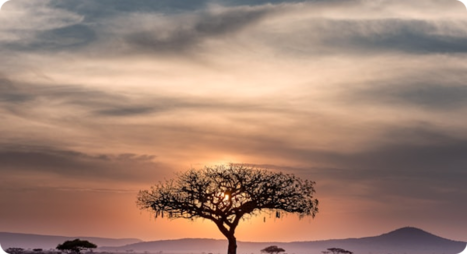 VIP Yaka İpi Sponsorluğu