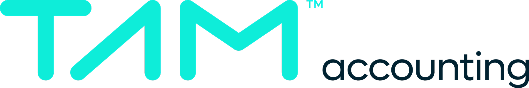 TAM ACCOUNTING