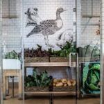 Babylonstoren Brings a New Luxury E-Commerce Model to South Africa in 2026