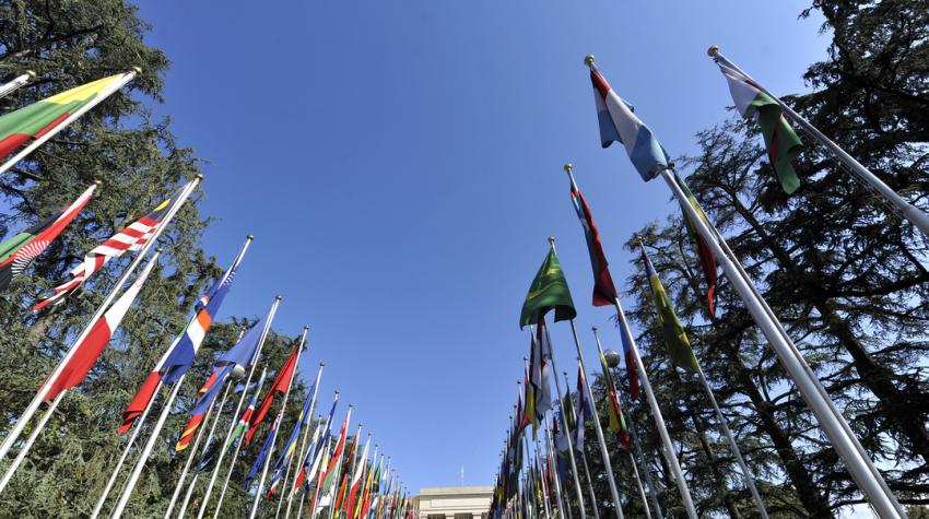 WTO E-Commerce Talks Stall as 66 Members Push Interim Global Digital Trade Framework
