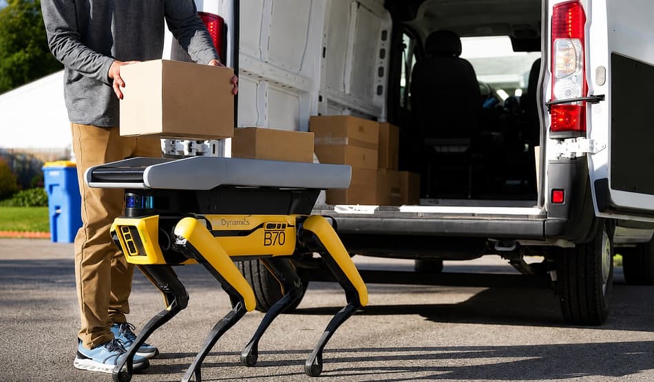 Spot Dog Delivery